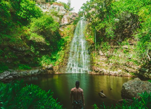 man practicing forest bathing man practicing forest bathing