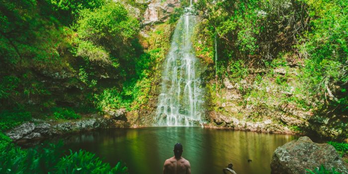 man practicing forest bathing man practicing forest bathing
