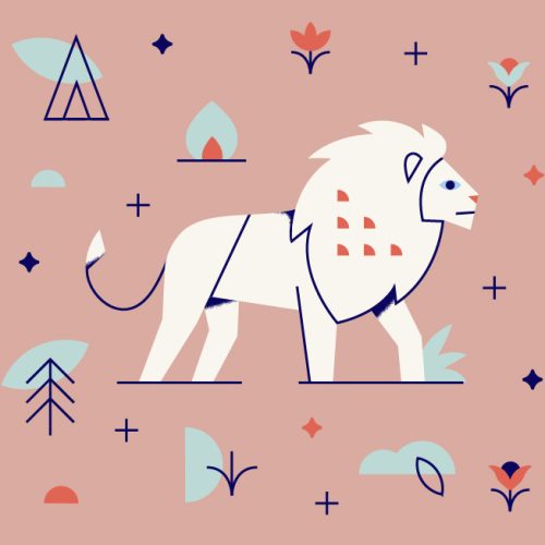 nature guide lion nature guide lion