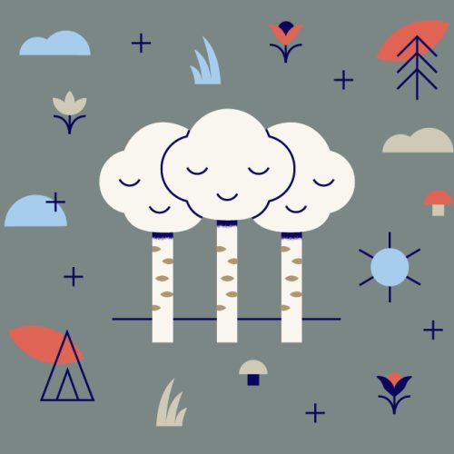 nature guide aspen nature guide aspen