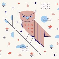 nature guide owl