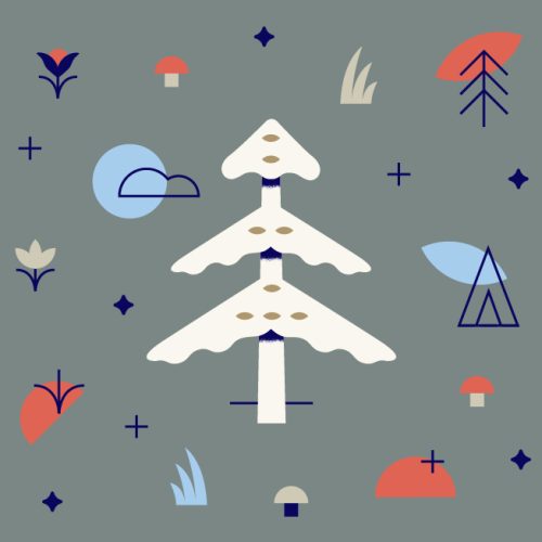 nature guide cedar nature guide cedar