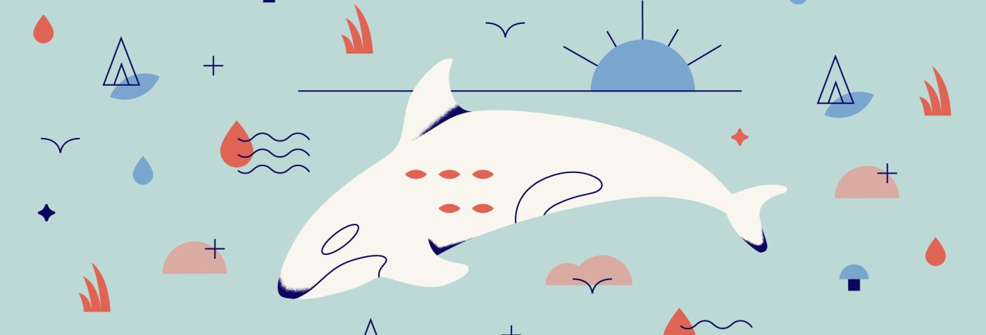 nature guide orca nature guide orca