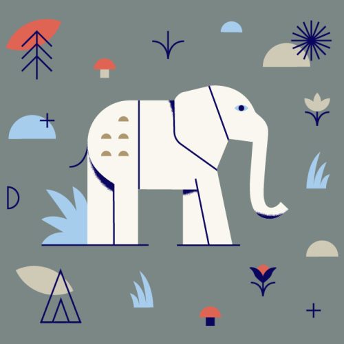 nature guide elephant nature guide elephant