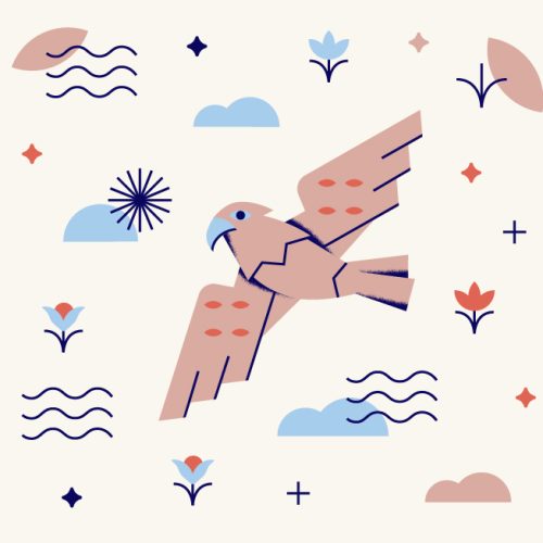 nature guide eagle nature guide eagle