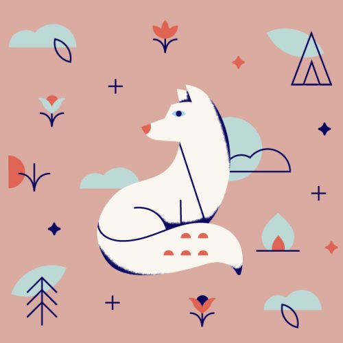 nature guide fox nature guide fox