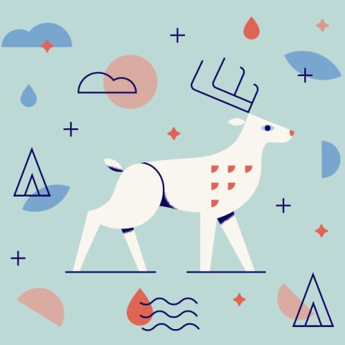 nature guide deer nature guide deer