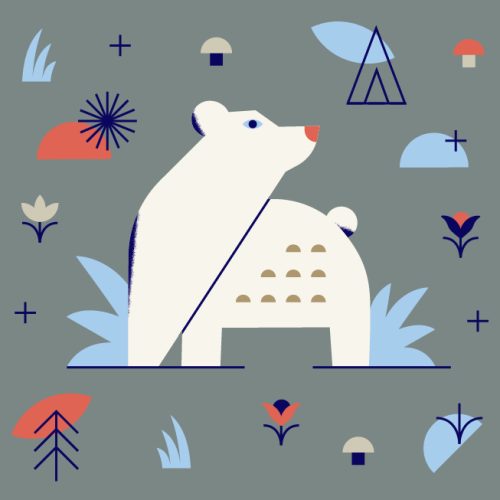 nature guide bear nature guide bear