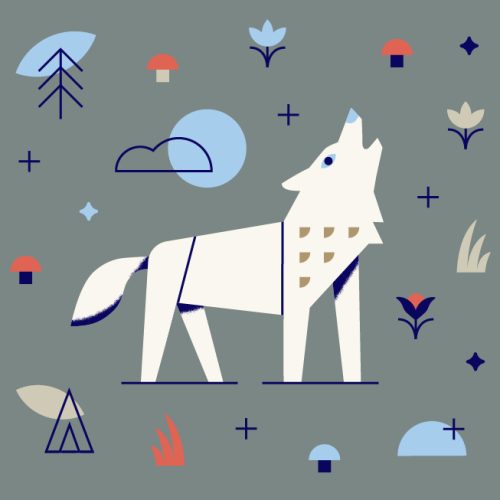 nature guide wolf nature guide wolf