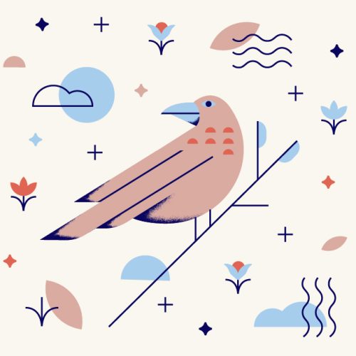 nature guide raven nature guide raven