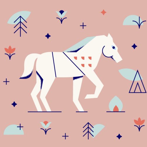 nature guide horse nature guide horse