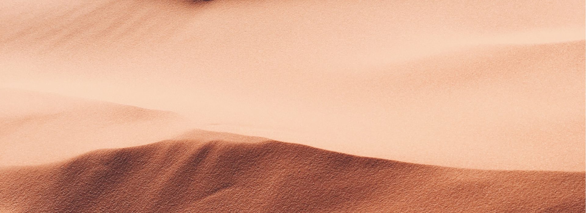 nature guides we move to heal nature guides we move to heal